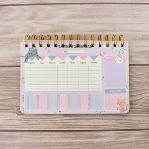 PLANNER PERMANENTE SEMANAL 12,5X18,8CM - 21684P1-RX