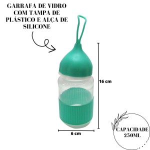 GARRAFA DE VIDRO COM CAPACIDADE DE 250 ML - GP3019-VD