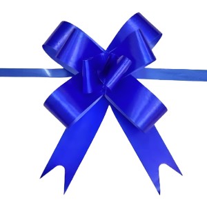 LAÇO FÁCIL DE PLÁSTICO 15MM X 370MM- DL881801-AZ