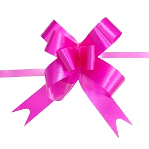 LAÇO FÁCIL DE PLÁSTICO 15MM X 370MM- DL881801-RS